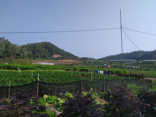 深圳農家樂坪山九龍生態(tài)園開園啦